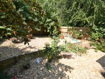 Picture 20